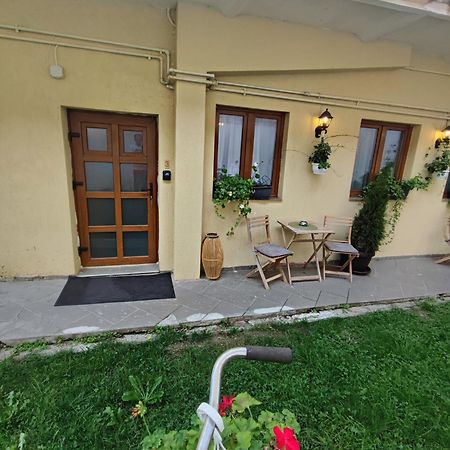 Central Garden Apartments Braşov Eksteriør billede