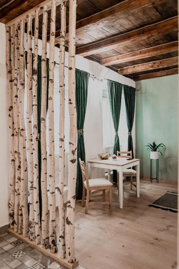 Central Garden Apartments Braşov Eksteriør billede