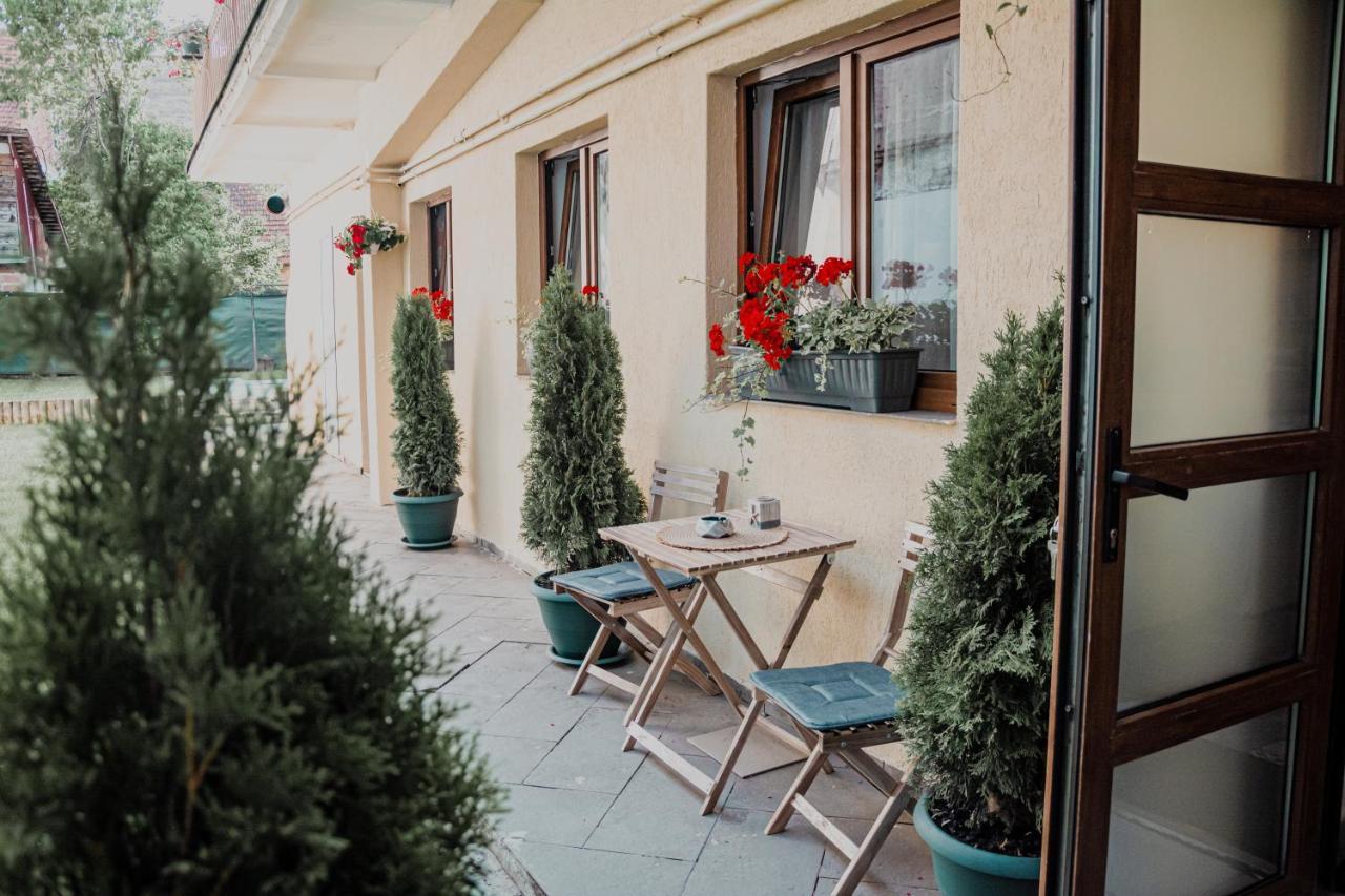 Central Garden Apartments Braşov Eksteriør billede