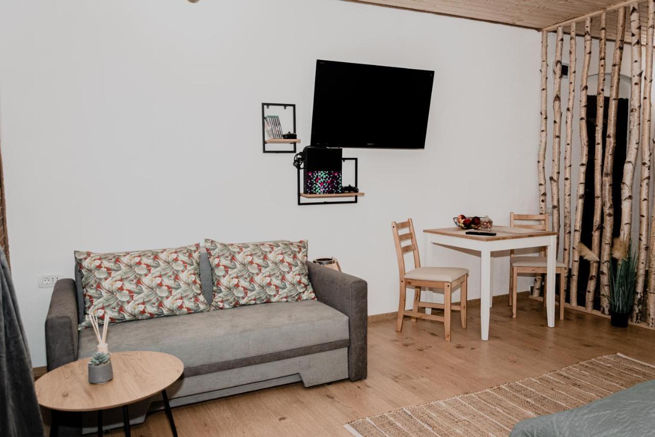 Central Garden Apartments Braşov Eksteriør billede