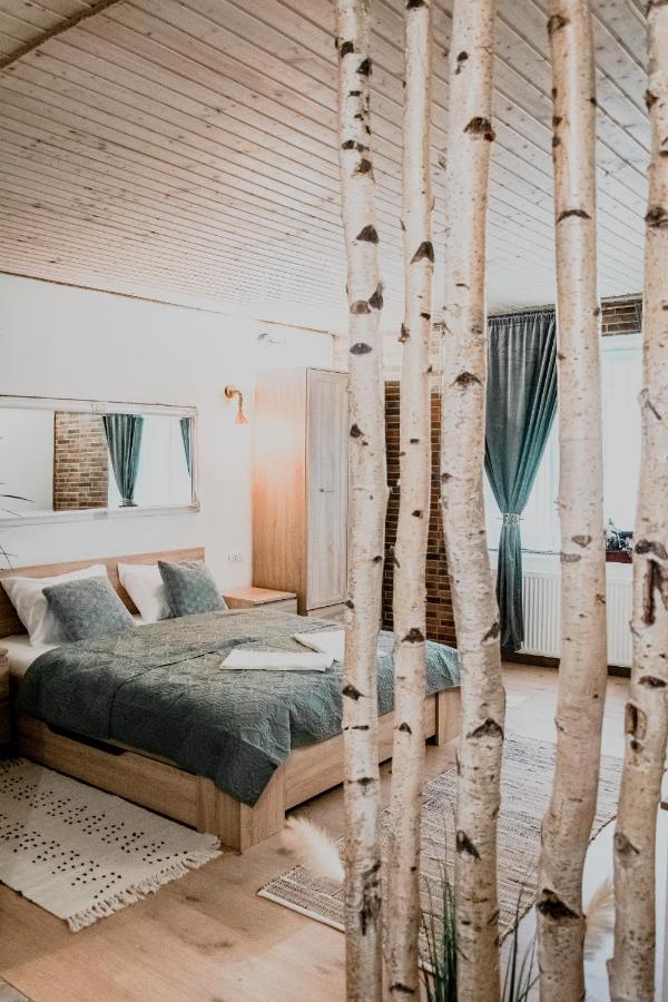 Central Garden Apartments Braşov Eksteriør billede