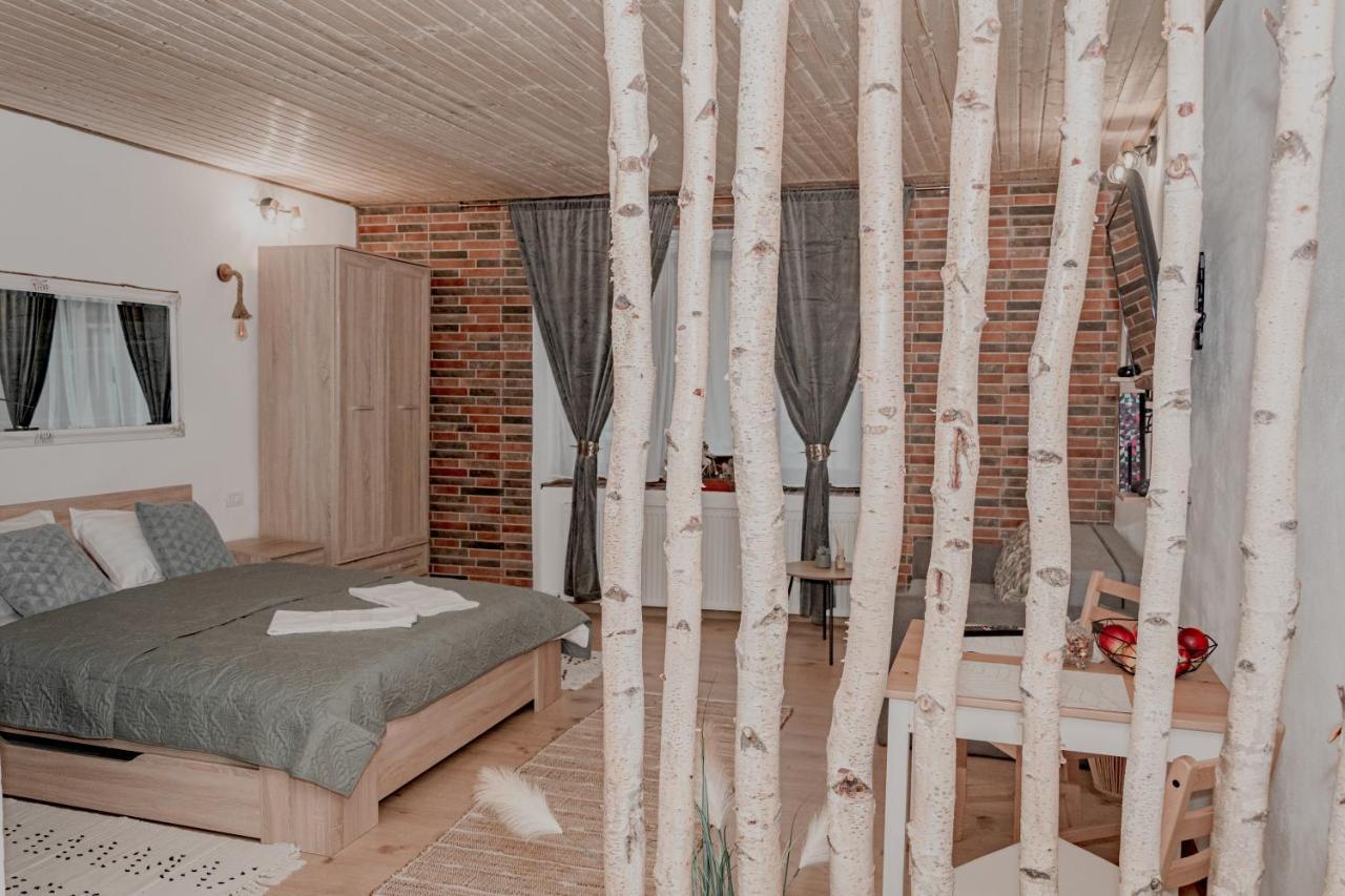 Central Garden Apartments Braşov Eksteriør billede