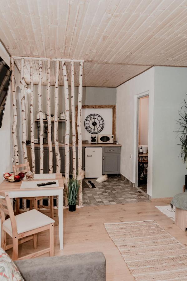 Central Garden Apartments Braşov Eksteriør billede